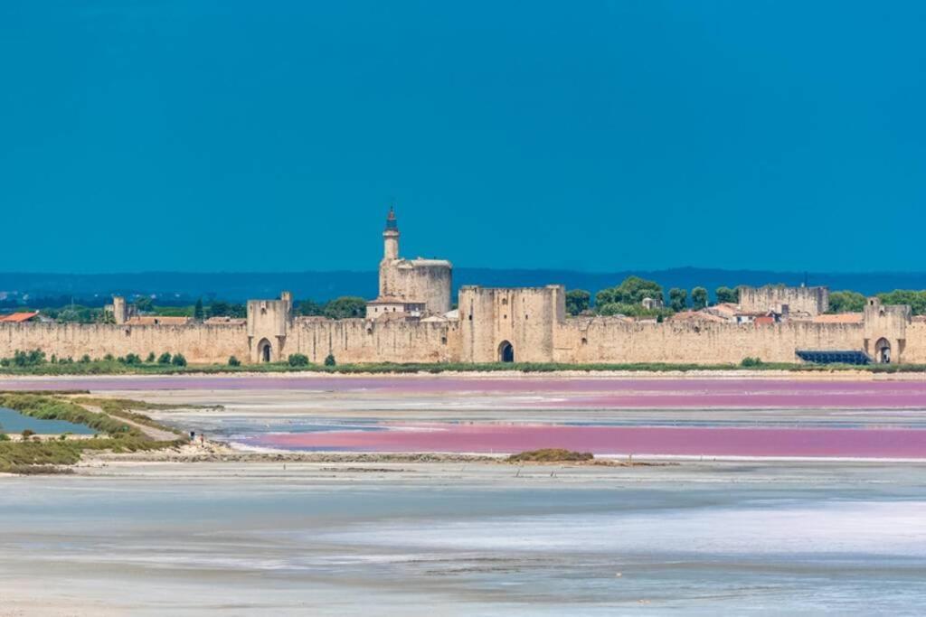 séjour insolite et écologique dans une Tiny house Aigues-Mortes Esterno foto