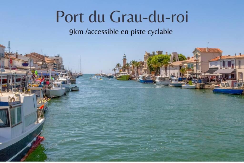 séjour insolite et écologique dans une Tiny house Aigues-Mortes Esterno foto
