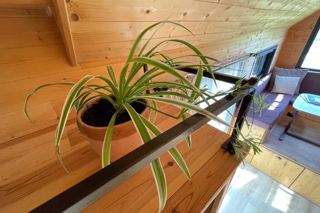 séjour insolite et écologique dans une Tiny house Aigues-Mortes Esterno foto